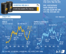 후티 "홍해 전면 폐쇄 아냐…사우디에 제한된 봉쇄"