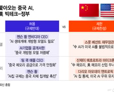 美 빅테크-정부, 중국산 AI모델·칩 두고 '갑론을박'…이유는