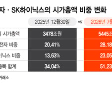 비중 무려 51%, "삼전닉스피" 이 말까지 나왔다...변동성 커진 이유