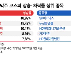 롤러코스터 한 주…실적 좋은 종목만 살았다[김근희의 증시랩업]