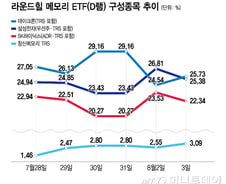 메모리 ETF, CXMT 신규 편입에 삼전닉스 위협? "우려 일러"