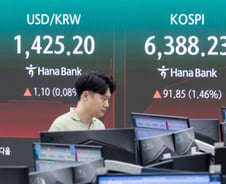 "외인 줍줍 후 바로 던져" 6400선 찍고 주르륵...'장투'의 조건은