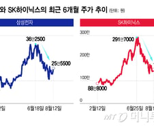 "270층에서 구조대 기다려"…삼전닉스 팔까말까