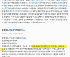 "하영 증조부, 토지도 강탈?"...안상호 과거 '피소' 신문기사 또 파묘