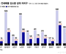 중랑·노원이라도 갈까?..."여기도 전세 씨말랐다" 매물 급감
