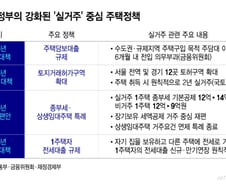 "전셋집 쫓겨나 보증금 4억·월세 100만원 더"...빚은 더 쌓였다