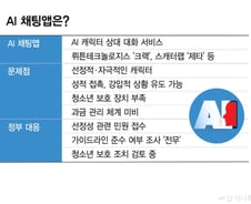 [단독]AI 채팅앱 켰더니 '자취방 여사친'…"선정적" 민원에도 조사 0건