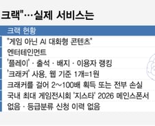 "게임 아니라며?" 지스타 간판 된 크랙…'게임 기능' 심사는 누가