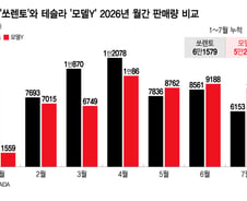 "이렇게까지 잘 팔려?" 기이한 현상..'국민 아빠차' 위협하는 테슬라