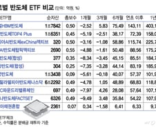 같은 글로벌 반도체 ETF인데..."수익률 6배 차이" 왜[ETFvsETF]