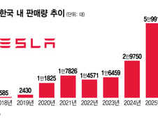 "이 '하차감'은 새롭네" 테슬라 인기 비결...돌풍 계속? 이제 끝물?