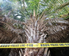 "타살 가능성 절반 이상"...프로파일러 '장미란씨 사건' 소신 발언