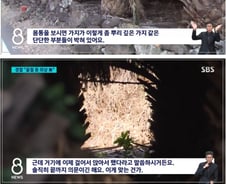 경찰 "목뼈 골절, 자살로 갈 수 밖에" vs 장미란씨 유족 "앉아서? 솔직히 의문"