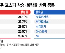 종목 장세 시작되나?…삼성·현대·SK 그룹주 모두 '미끌'[김근희의 증시랩업]