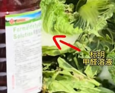 시신 방부제 묻은 중국산 배추...몸에 미치는 영향 '충격' [한 장으로 보는 건강]