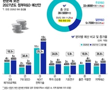 '3대 메가'가 이끌고 '7대 씨앗'이 따른다…내년 국가 R&D 39.5조