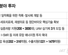 '포스트 반도체' 육성에 41조 투입…전기차 보조금 43만대 '역대 최대'