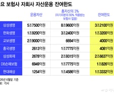 "인수자금 충분한데"..한도규제 막혀 M&A '물먹는' 보험사들