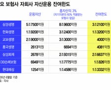 "인수자금 충분한데"..한도규제 막혀 M&A '물먹는' 보험사들