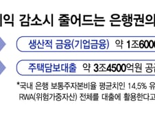 생산적 금융 늘리라더니 과징금 폭탄…금융도 '엄벌행정'에 발목