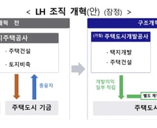 LH '개발·주거복지' 두개로 쪼갠다…국토부 산하기관 대수술