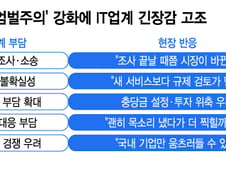 수백억 과징금, 법원서 뒤집혀도…규제 탓 '골든타임' 놓치는 IT