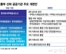 LH '개발·주거복지' 두 개로 쪼갠다… 공항공사 통합은 재검토
