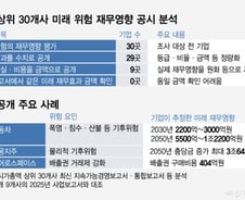[단독] 수조원 미래손실 추정치, 법정공시 사업보고서엔 없다