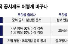 일본은 '공시 다이어트' 시작…"중복 덜고 투자정보 연결"