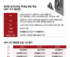 "보이스피싱 배상만 연 2800억인데…선도입 영국서도 효과 미미"