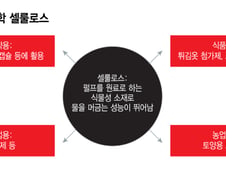 알약부터 반도체까지…영토 넓히는 롯데정밀화학 셀룰로스[R&D인사이드]