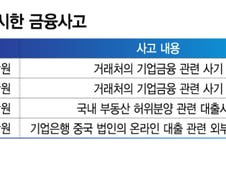지난해엔 명륜당, 올해는 대형 금융사고…산은·기은 국감 '비상'