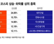 "이게 추석 선물이지" 24% '껑충'...삼전닉스보다 더 뛴 이 종목[김근희의 증시 랩업]
