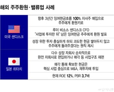 한국 '얼마나 태울까' vs 선진시장 '어디에 쓸까'…진짜 밸류업은?