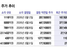 자사주 다 태우면 '밸류업'?…수조원 소각해도 주가는 뒷걸음
