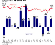 간만에 테슬라가 순매수 1위…주가 하락하자 샌디스크·메타 매수[서학픽]