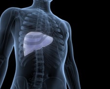 생존률 낮은 난치성 간암, 새 바이오마커 찾았다…"AI로 신속 진단"