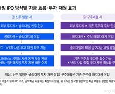 "돈줄 하나 더 뚫어라"…반도체 패권 전쟁 한복판, '솔리다임 상장' 의미