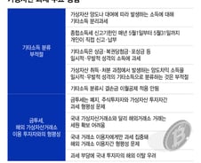 "현행 코인 과세, 2030 범법자 만든다" 반발에…유예론 확산