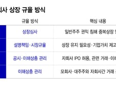 중복상장 안막는 선진시장…설명책임·이해상충 관리로 규율