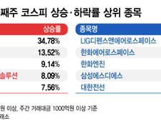 107조 잔치에도 주가 '뚝'…반도체 비틀대는데 이 종목 왜 뛰지?[김근희의 증시랩업]