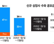 코스피 입성 '케이뱅크' 딱 한곳…"대어 멸종" 중복상장 묶자 IPO '꽁꽁'