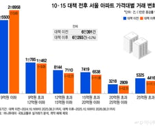 "집값 잡아야" 대출 묶더니 서민만 잡았다…싼 집만 뛴 규제의 역설