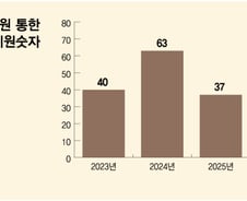 갈곳 없는 아이들 봐주는 '국선 후견인'…법 없다보니 운영 '빨간불'