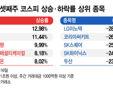 삼전닉스 빠질때 조선주는 뛰어올랐다