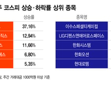 하루 오르면 하루 빠지고…롤러코스피 속 살아남은 종목은?[김근희의 증시랩업]