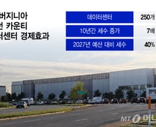 美, 한개 州 먹여살리는 DC…韓, 장기 투자 전략 필요