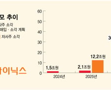 AI로 채운 곳간 주주에게 푼다…SK하이닉스 '100조 환원' 배경은