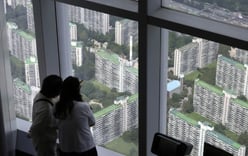 'Kangaroo Family' Generation Faces First-Time Mortgage Pathway…Authorities Review Individual Bank Assessments