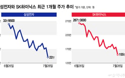 "Why is my stock falling"... When Samsung Electronics and SK Hynix drop, the entire KOSPI "shudders"
